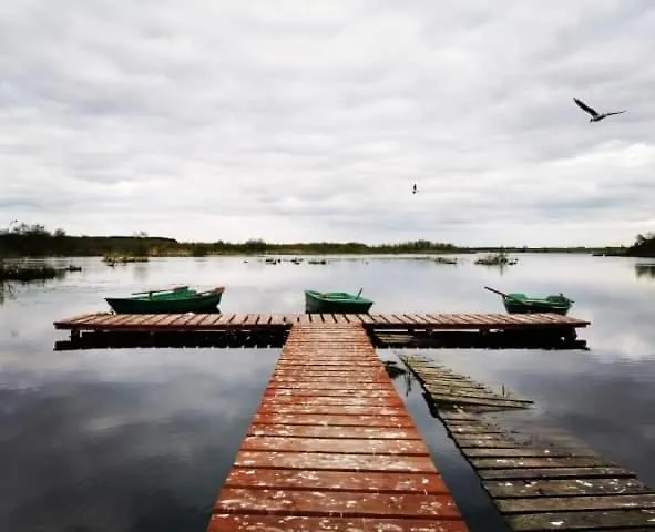 Κατάλυμα σε φάρμα Stajnia Czahary 3